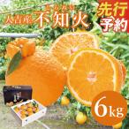 人吉産 不知火 しらぬい 6kg