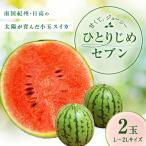 南国紀州 日高の太陽が育んだ小玉スイカ