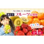 フルーツ 定期便 全4回 讃岐 さぬきひめ いちご