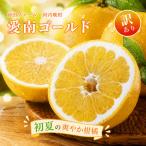 愛南ゴールド 河内晩柑 大玉 約8kg