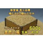 新登場の高級米 金色の風 玄米600g