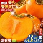 令和8年 富有柿 Lサイズ 14個