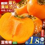 令和8年 富有柿 3Lサイズ 6個