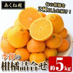 竹ん子山の季節の柑橘詰め合わせ 約5kg