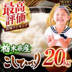 コシヒカリ白米 20kg