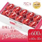ミニトマト アメーラルビンズ 約60g×10P