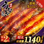 うなぎ蒲焼特大2尾 さんしょう たれ付き