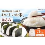 はるみ 5kg