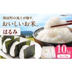 はるみ 10kg