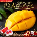 完熟マンゴー 太陽のタマゴ 4L×2玉