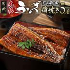職人手焼きの本格うなぎ蒲焼き5尾 うなぎ