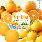 訳あり 柑橘
