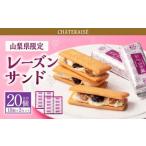 fu.... налог [ chatelet -ze] Yamanashi префектура ограничение печенье Raisin Sand 10 шт ×2 комплект итого 20 шт | конфеты десерт сладости ... закуска подарок .... Yamanashi префектура центр город 
