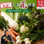 三浦の匠野菜 M127-001 野菜 季節の野菜