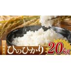 令和7年産 ひのひかり 20kg