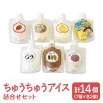 ちゅうちゅうアイス チューブ入り 詰め合わせセット