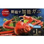 ふるさと納税 朝茹で加能ガニ姿1杯入り 蟹 かに ズワイガニ グルメ 海産物 贈り物 加賀 F6P-3185 石川県加賀市