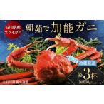 ふるさと納税 朝茹で加能ガニ姿3杯入り 蟹 かに ズワイガニ グルメ 海産物 贈り物 加賀 F6P-3187 石川県加賀市