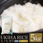 米 白米 精米 UKIHA RICE ヒノヒカリ