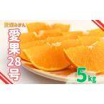 ふるさと納税 みかん 愛媛 愛果28号 紅まどんなと同一品種 5kg 家庭用 人気 数量限定 先行予約 柑橘 伊予市【2026年11月下旬以降順次発送】｜C12.. 愛媛県伊予市