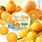 訳あり 柑橘