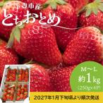 いちご とちおとめ M~L 約1kg