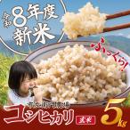令和8年産 コシヒカリ玄米 5kg
