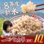 令和8年産 コシヒカリ玄米 10kg