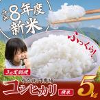 米 令和8年産 コシヒカリ5kg×3回 こしひかり