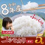 米 令和8年産 コシヒカリ5kg×6回 こしひかり