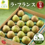 ふるさと納税 ラ・フランス 5kg 果物 洋梨 山形 ラフランス 山形県天童市