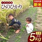 令和8年 新米 玄米 ひのひかり 5kg