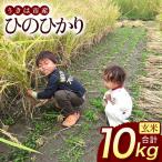 令和8年 新米 玄米 ひのひかり 10kg