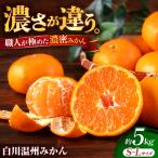 白川 温州 みかん S Lサイズ 約5kg