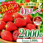 いちご 紅ほっぺ 約2000g