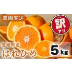 訳あり はれひめ 約5kg