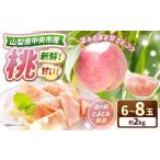ふるさと納税 新鮮！甘い！山梨県中央市産　桃6玉〜8玉（約2kg）「道の駅とよとみ」より厳選したものを出荷！ もも 桃 フルーツ 果物 山梨県 中.. 山梨県中央市