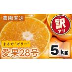 愛果28号 紅まどんな と同品種 訳あり 5kg