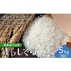 令和6年産 津軽産米 つがるロマン まっしぐら 各5kg