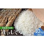 令和7年産 無洗米 まっしぐら 約10kg