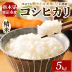 令和7年度産 コシヒカリ 精米 5kg
