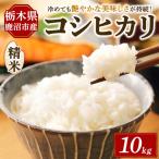 令和7年度産 コシヒカリ 精米 10kg