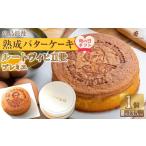 ふるさと納税 【母の日ギフト】広島浪漫「熟成バターケーキ」ルートヴィヒII世　プレミエ 広島県広島市