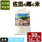 佐田の郷の米 慣行栽培米 計30kg