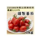 高級ミニトマト 謹製蕃茄 1kg
