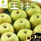 りんご 王林 5kg
