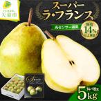 スーパー ラ フランス 5kg
