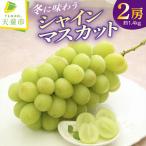 ぶどう 冬 に味わう シャインマスカット 約1.4kg