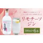 リモチーソジン 500mL×6本セット