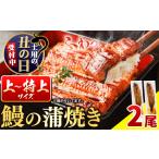 ふるさと納税 国内産 鰻の蒲焼き 徳島県産 うなぎの蒲焼き 2尾 タレ・山椒付《土用の丑の日予約(7/15〜7/26)》うなぎの蒲焼き うなぎ 鰻 蒲.. 徳島県佐那河内村